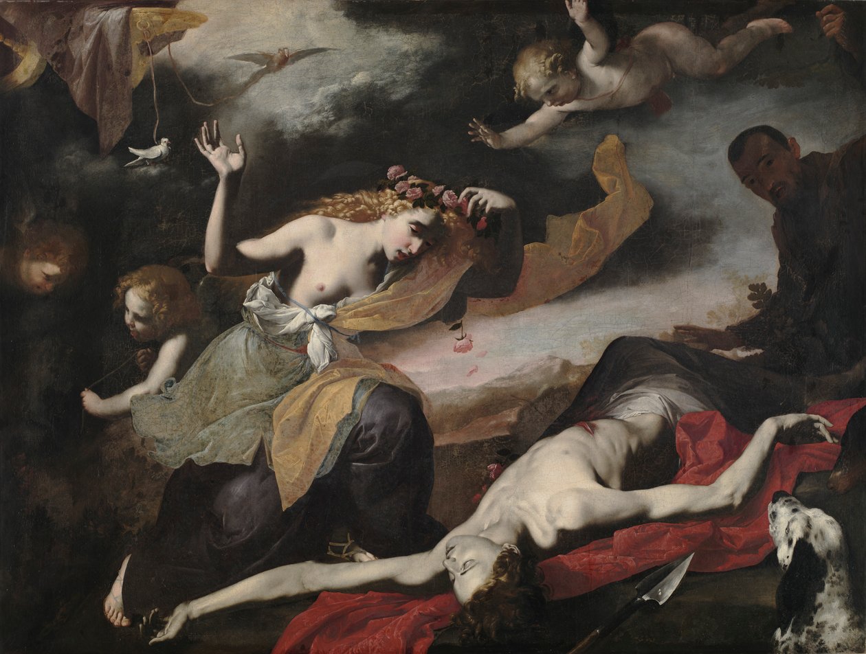 Venuše objevuje mrtvého Adonise, c. 1650. od Unbekannt