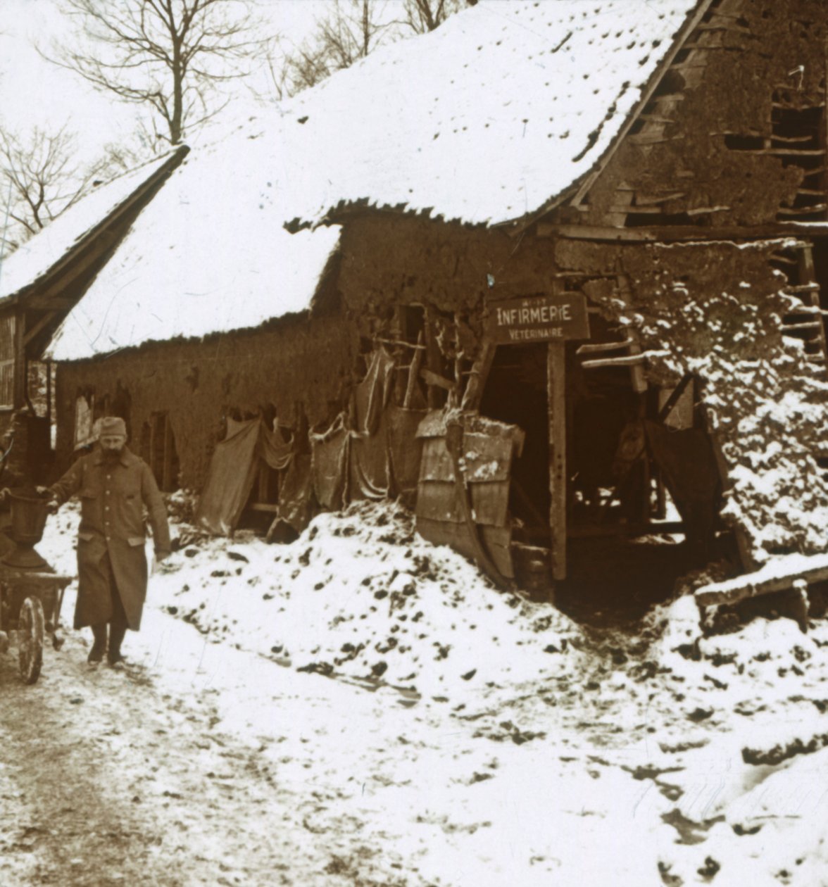 Veterinární stanice pro koně, Calonne, severní Francie, c1914-c1918 od Unbekannt