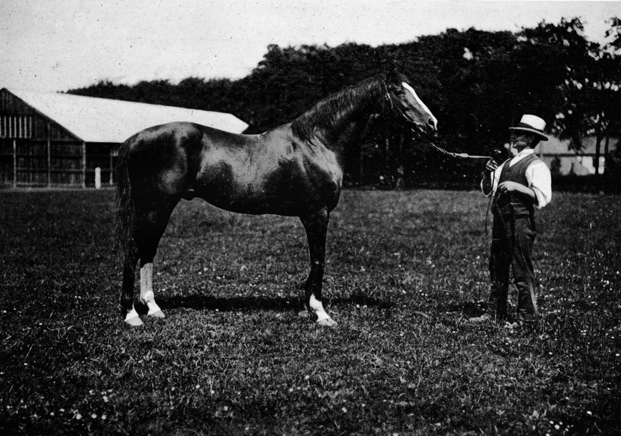 Victor Wild, 1911 od Unbekannt