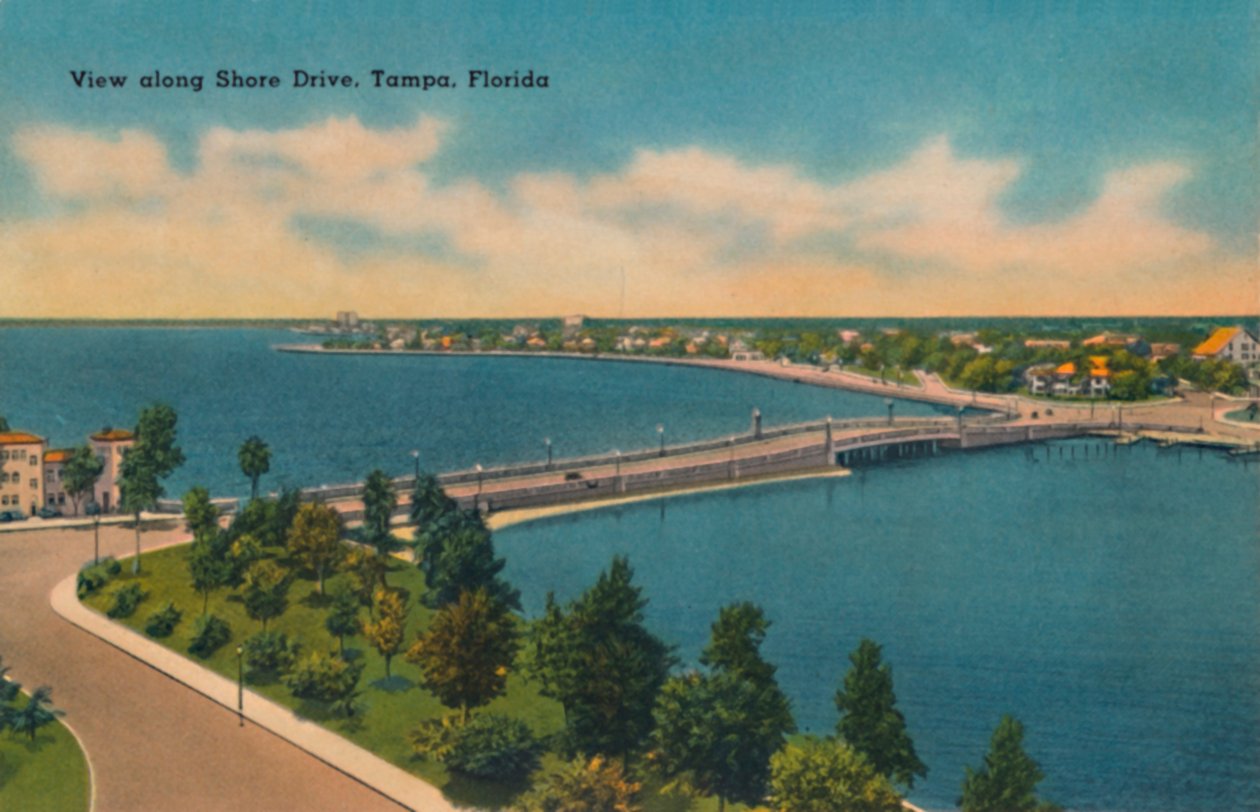 Pohled podél Shore Drive, Tampa, Florida, c1940 od Unbekannt