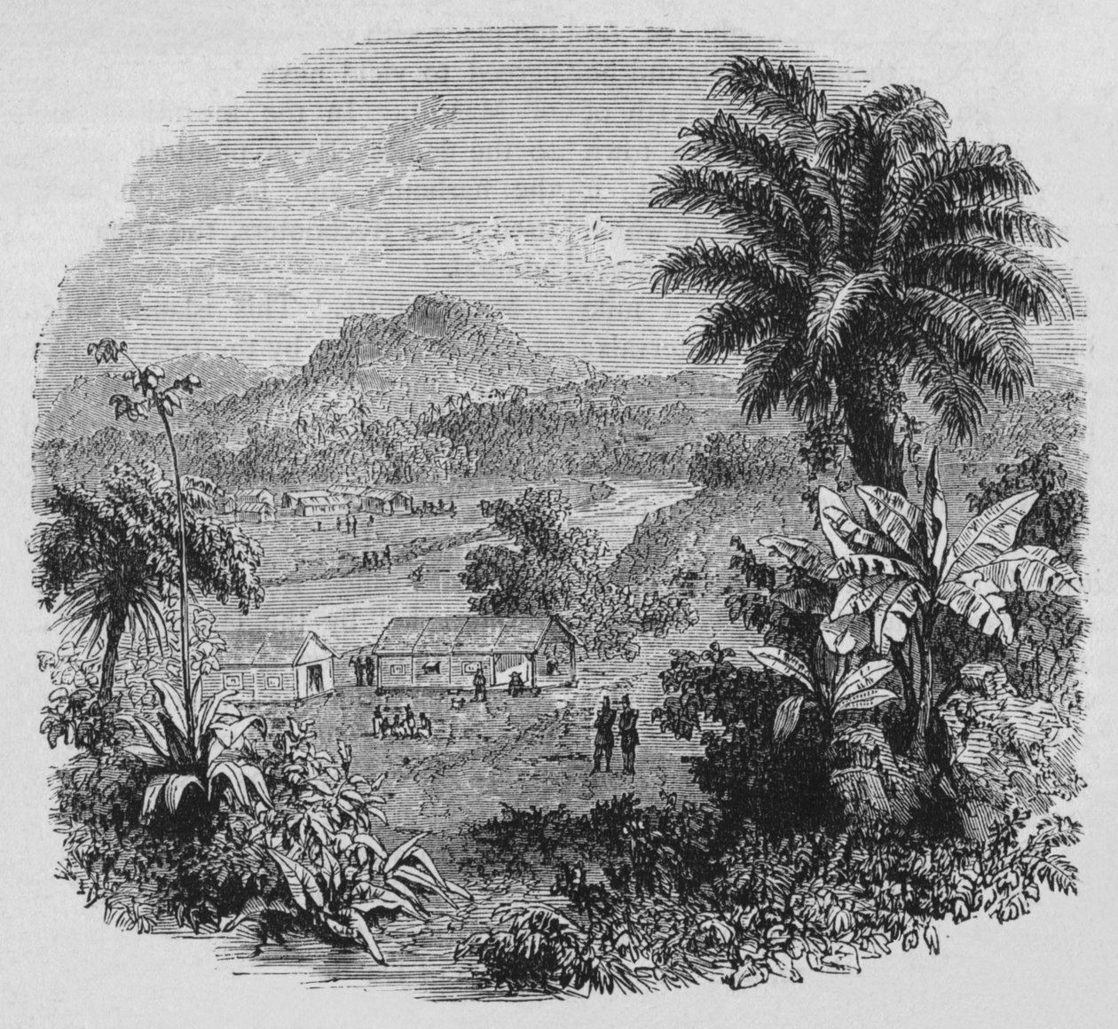 Pohled v Cayenne, c1880 od Unbekannt
