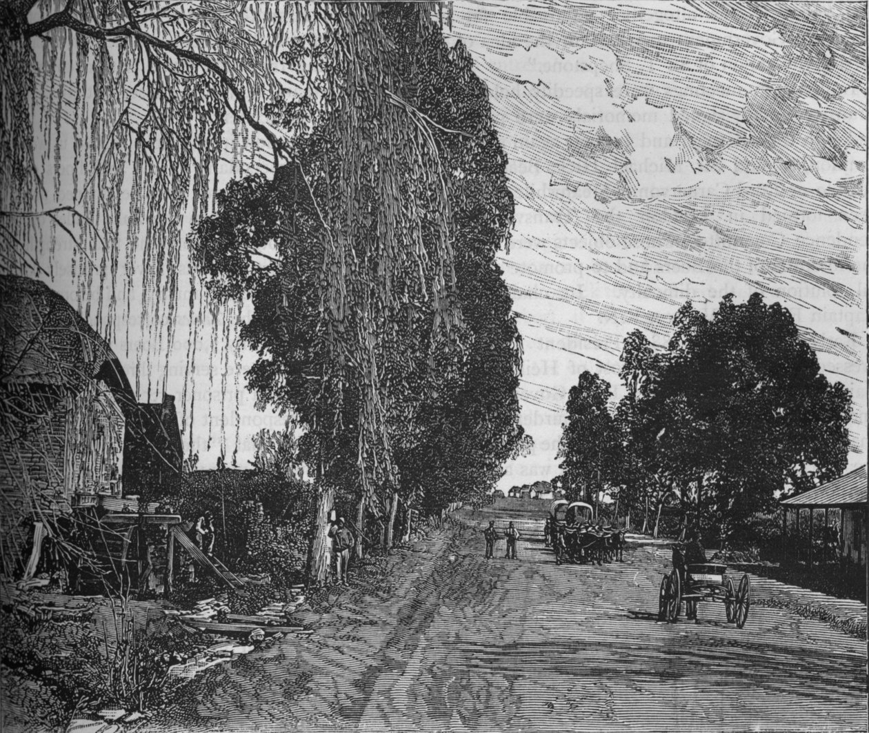Pohled poblíž Pretorie, c1880 od Unbekannt