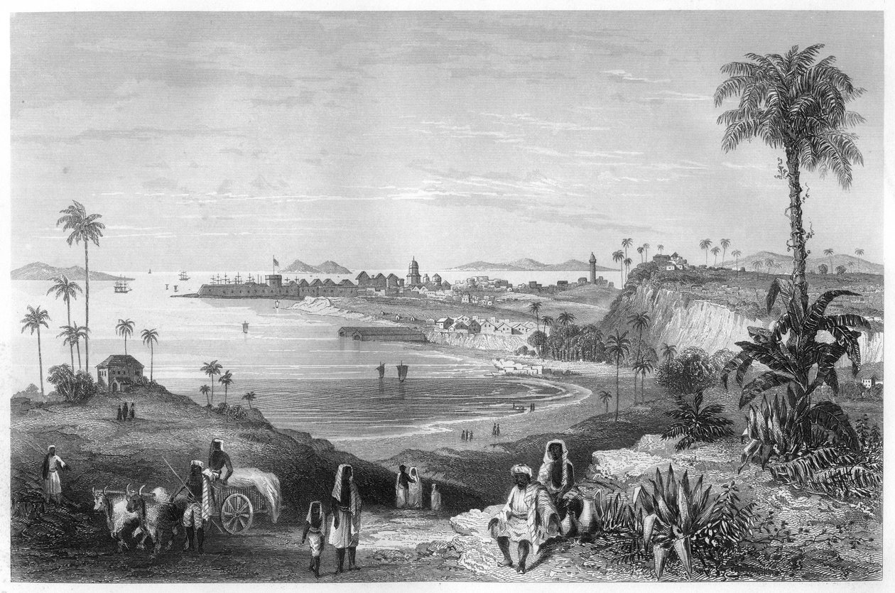 Pohled na Bombaj ukazující pevnost, c1860 od Unbekannt