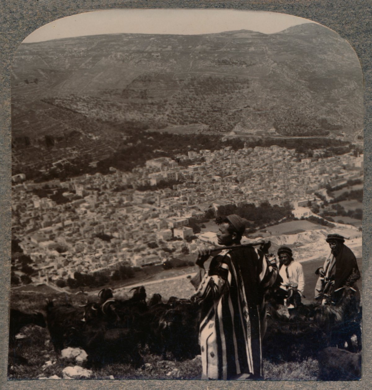 Pohled na Nábulus, c1900 od Unbekannt