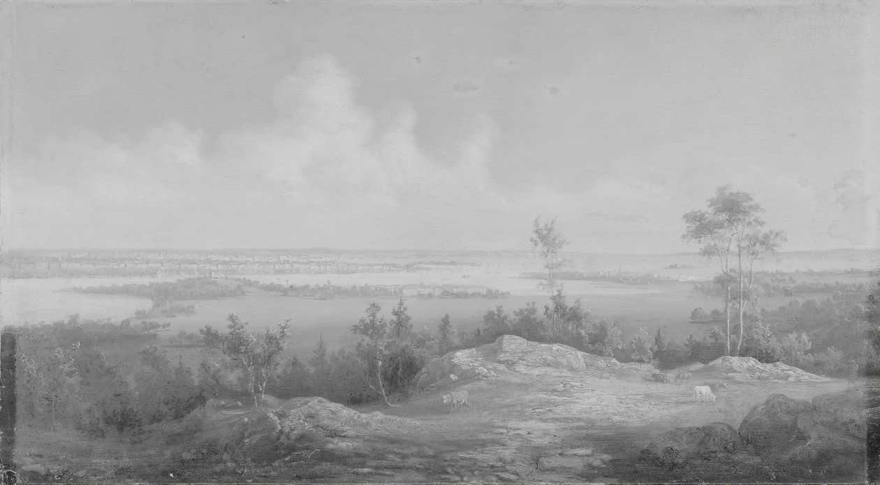 Pohled na New York z New Jersey, ca. 1850. od Unbekannt