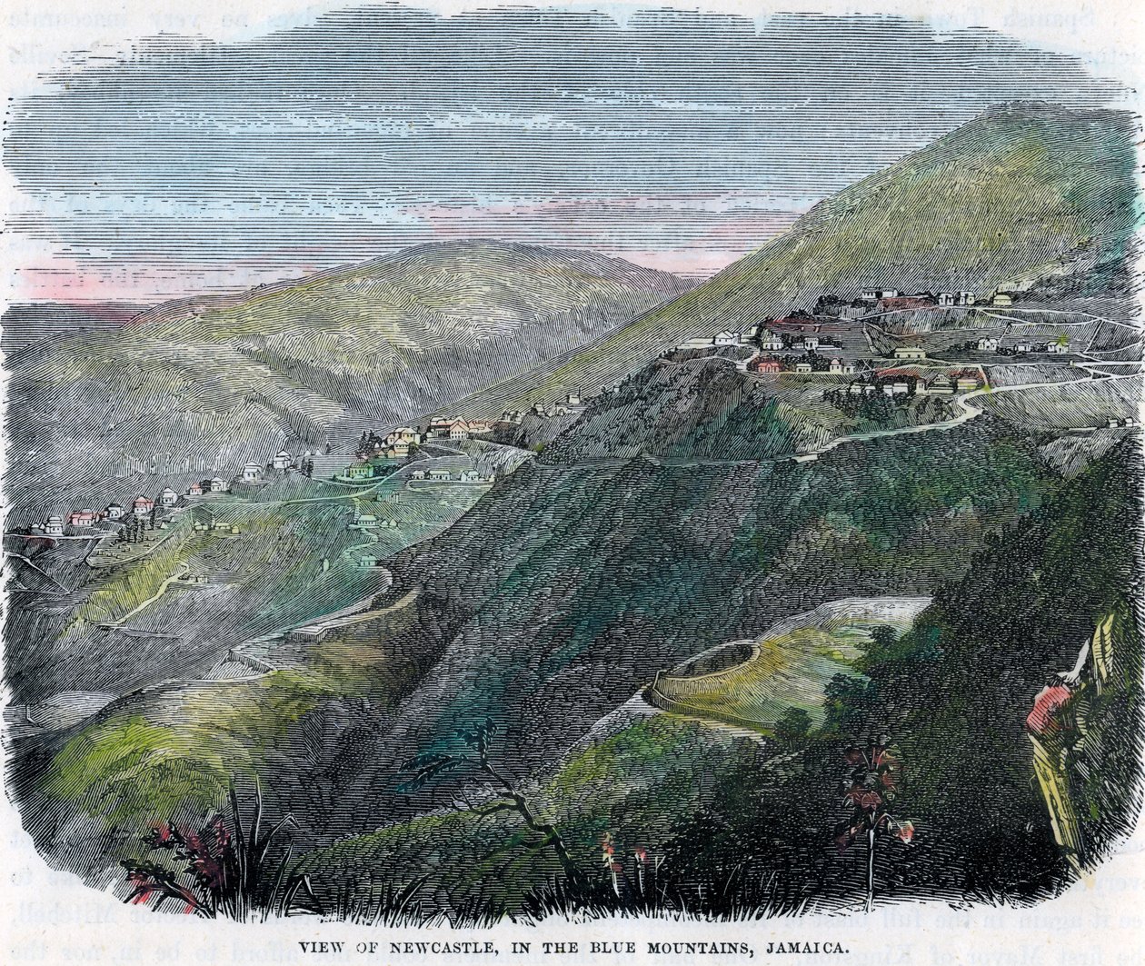 Pohled na Newcastle, v Blue Mountains, Jamajka, c1880 od Unbekannt