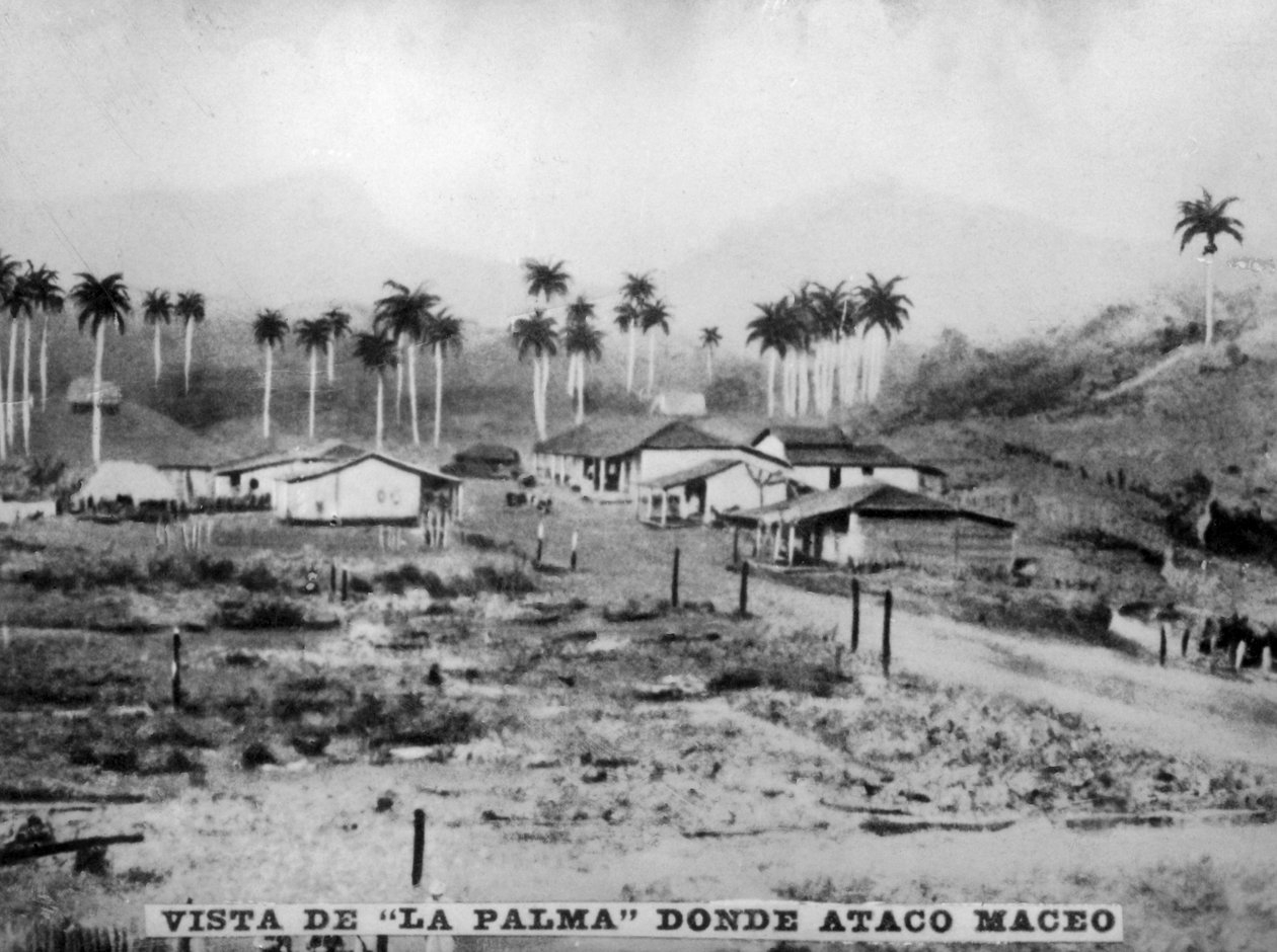 Pohled na Palmu, 1896, 20. léta 20. století od Unbekannt