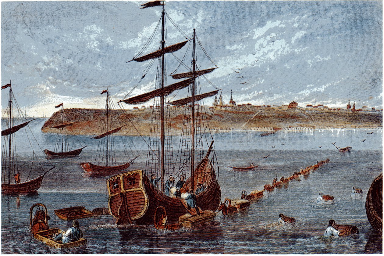 Pohled na Taganrog, c. 1840 od Unbekannt