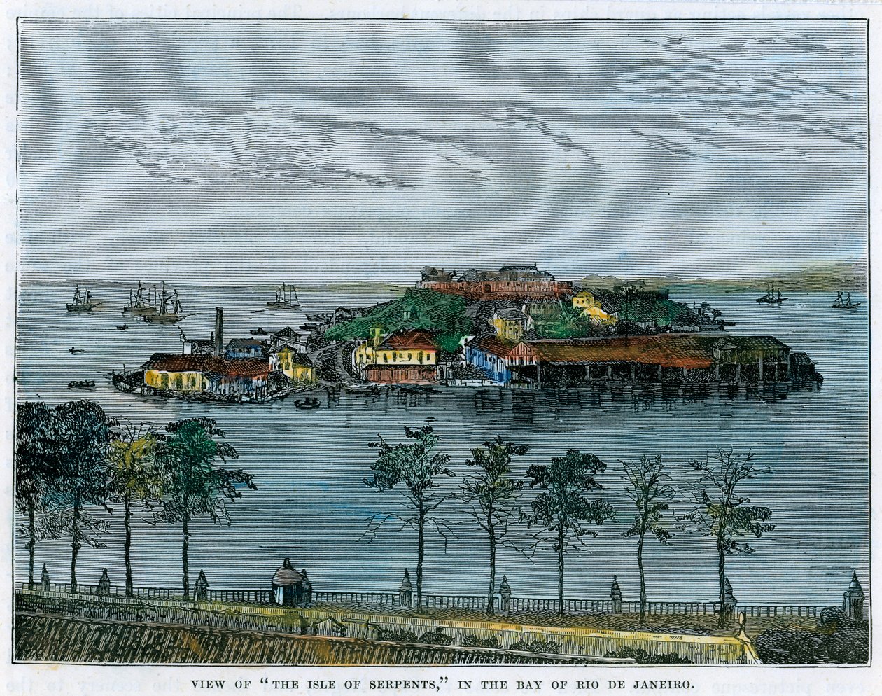 Pohled na ostrov Serpents, v zálivu Rio de Janeiro, Brazílie, c1880 od Unbekannt