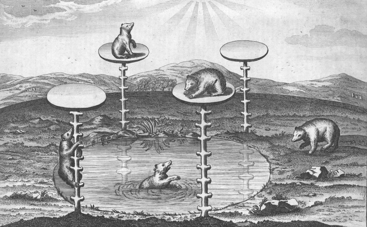Pohled na saského kurfiřta Beer-Garden v Drážďanech v Německu, c1673. od Unbekannt