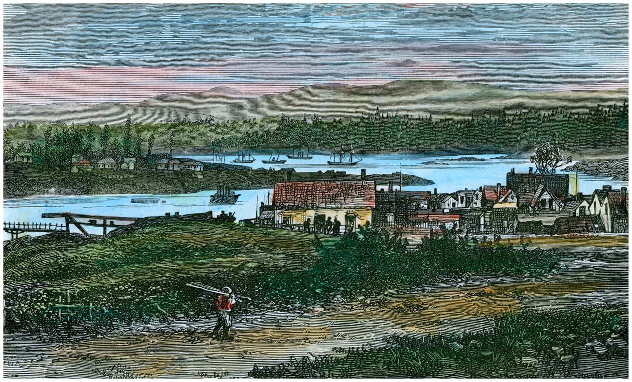 Pohled na západní předměstí Victoria, Vancouver Island, Britská Kolumbie, Kanada, c1880 od Unbekannt