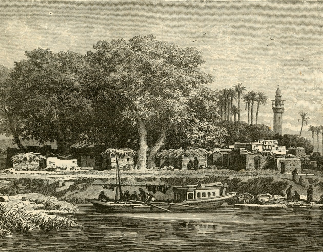 Pohled na deltu Nilu, 1890. od Unbekannt