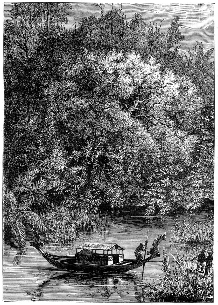 Pohled na řeku Dodinga, Nová Guinea, 1877 od Unbekannt