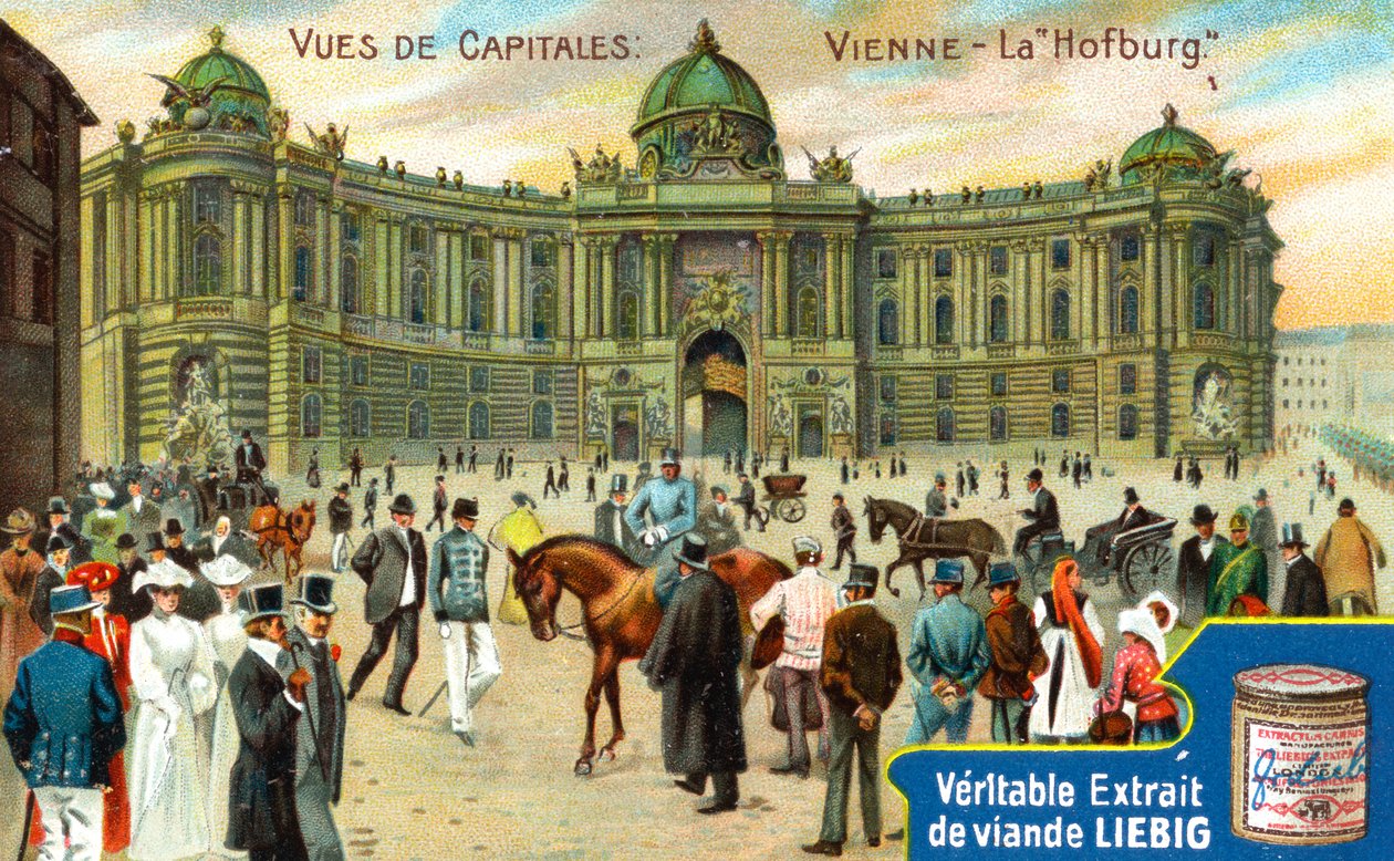 Pohledy na hlavní města: Hofburg, Vídeň, c1900 od Unbekannt