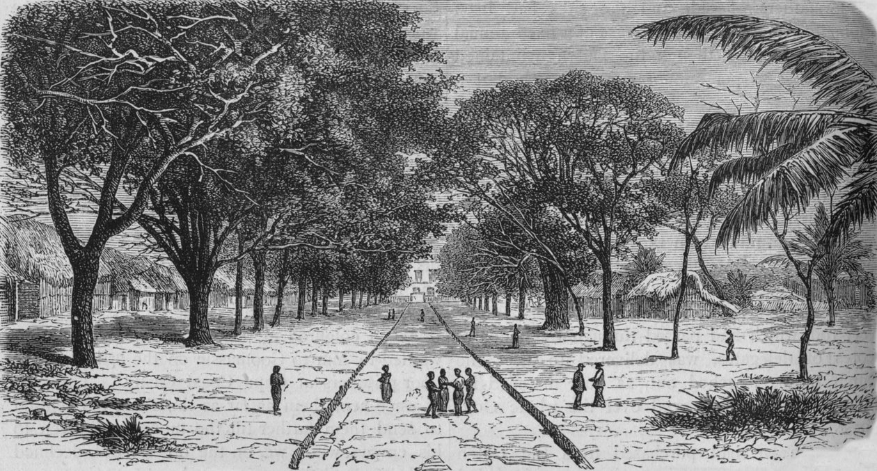 Vesnice na západním pobřeží Afriky, c1880 od Unbekannt