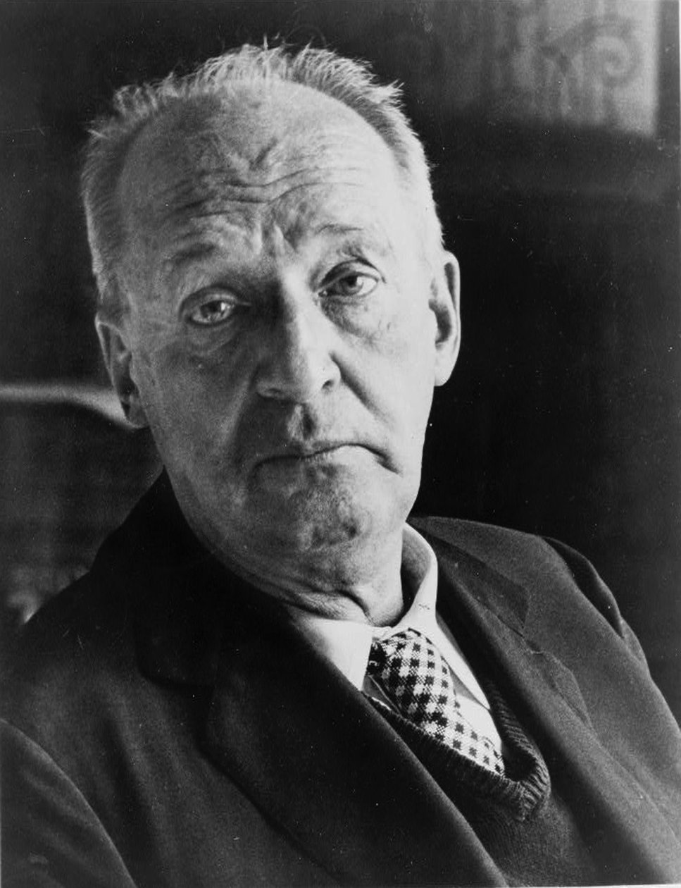 Vladimir Nabokov, ruský autor, 20. století od Unbekannt