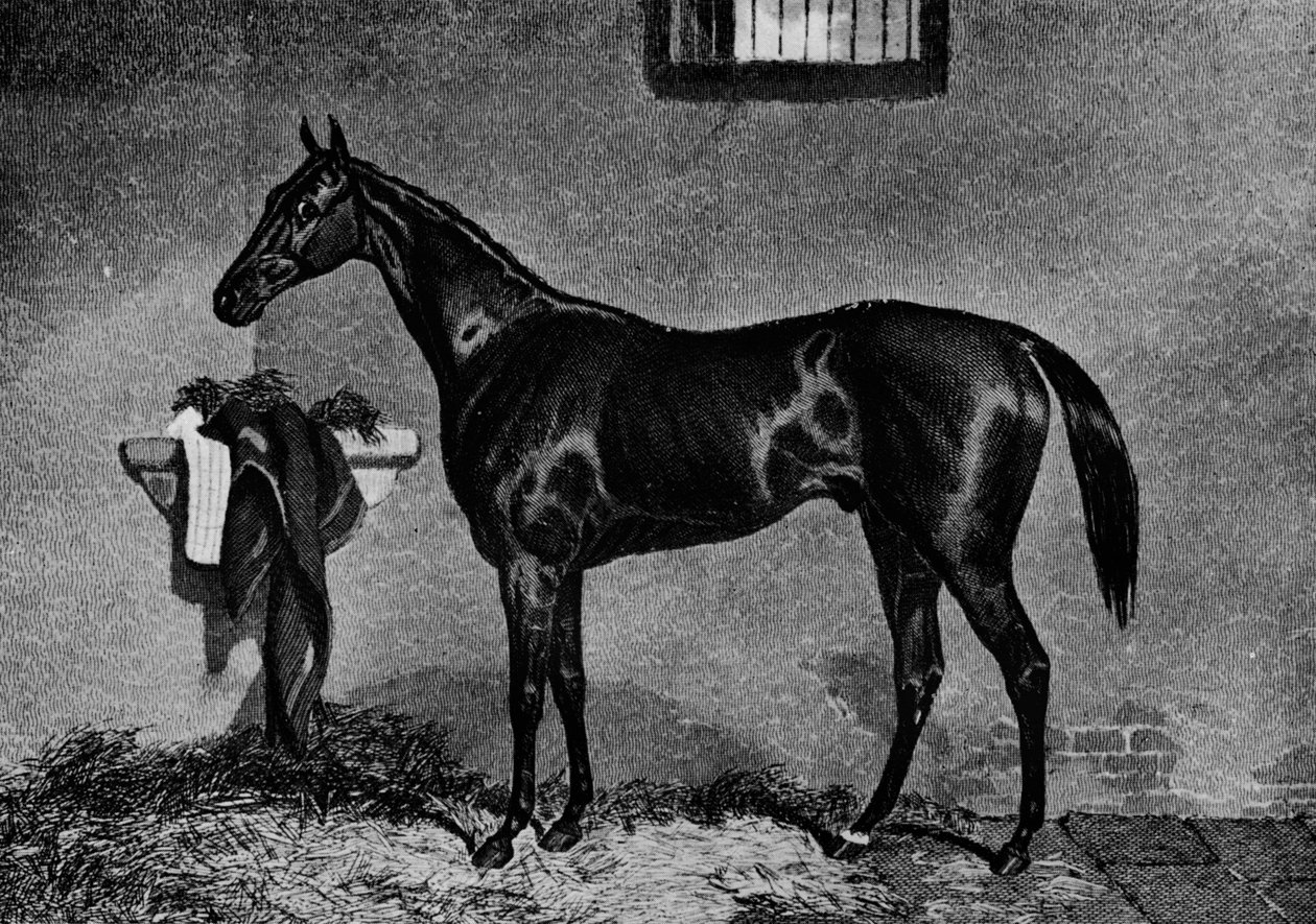 Voltigeur, 1847-1874, 1911 od Unbekannt