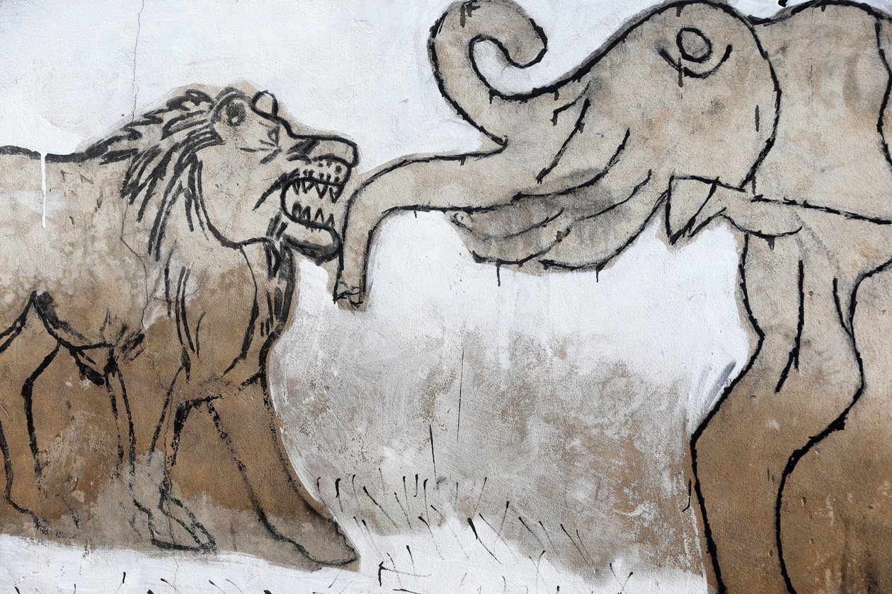 Nástěnná malba voodoo na fetišovém trhu Akodessewa, známém jako největší trh s voodoo na světě. Slon a lev. Lome, Togo od Unbekannt