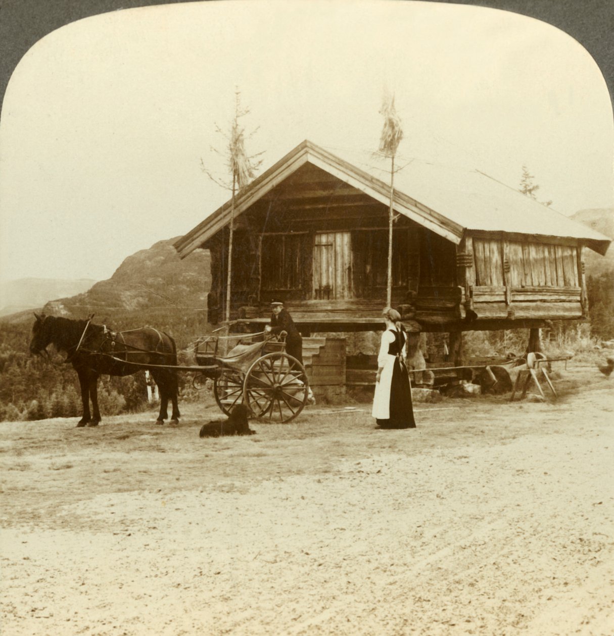 Čekání na cestující na silnici poblíž Bolkesjo, Norsko, c1905. od Unbekannt