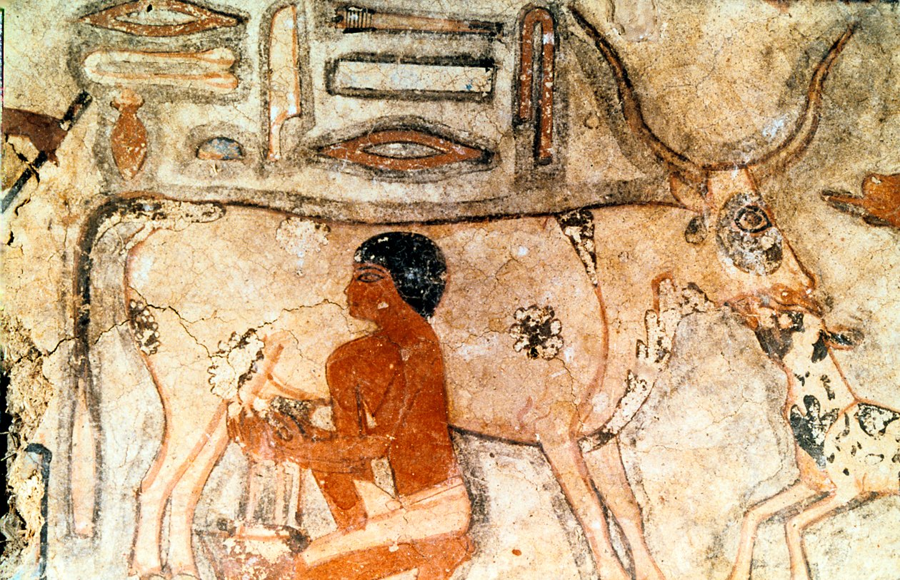 Nástěnná malba z hrobky Methethi, Sakkára, starověký Egypt, Stará říše, c2371-2350 př.nl od Unbekannt