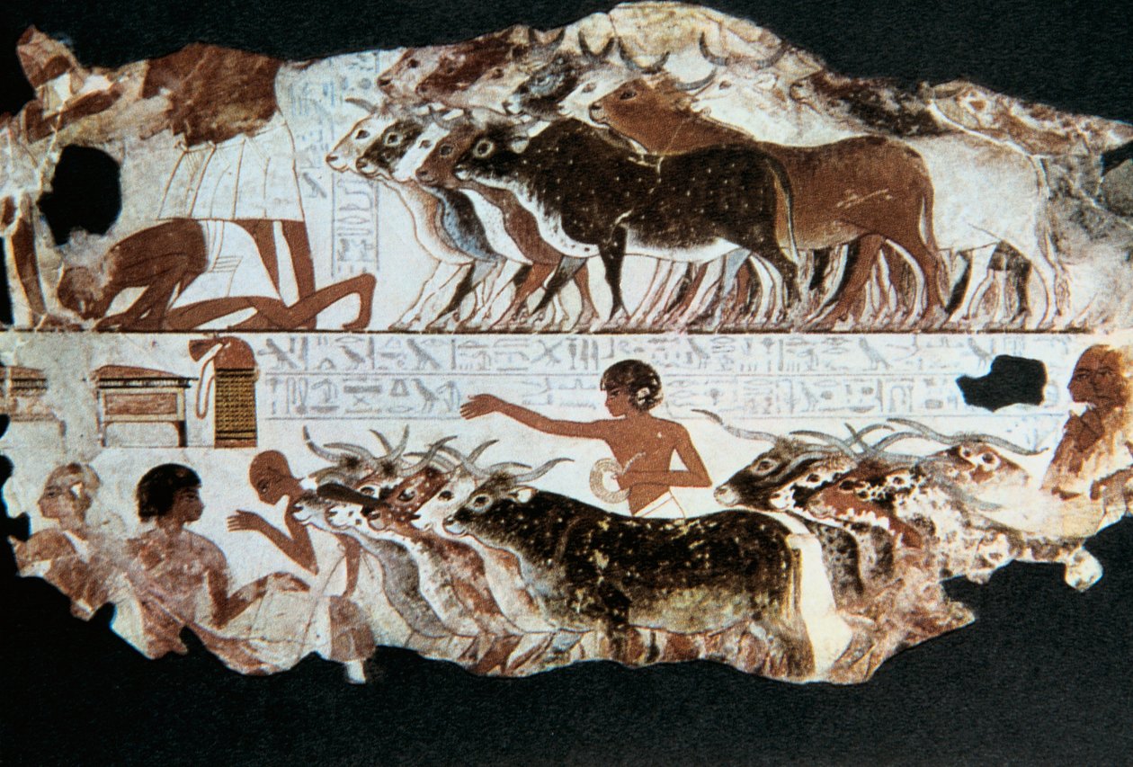 Nástěnná malba z hrobky Nebarunun, Théby, Egypt, c1350 př.nl od Unbekannt