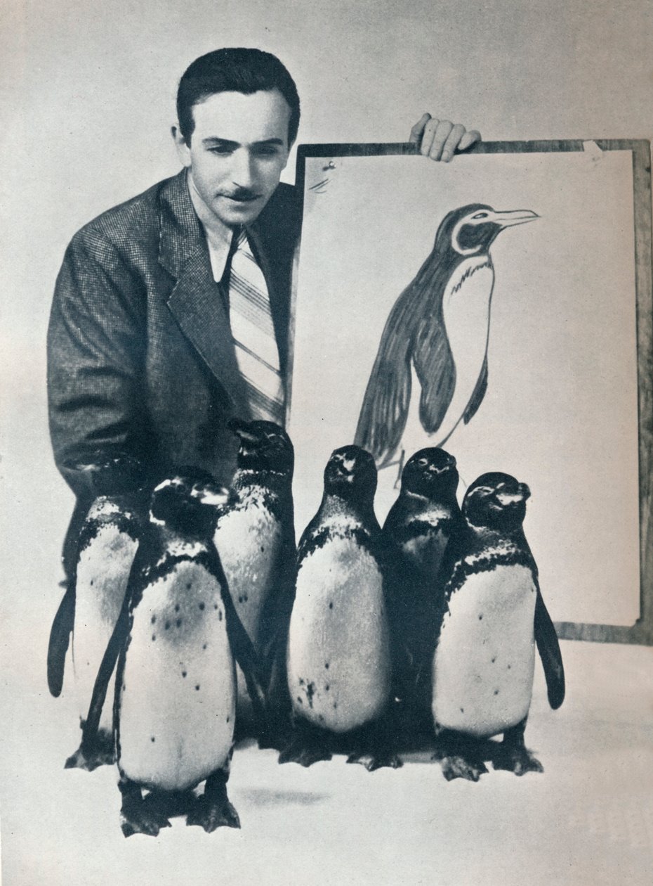 Walt Disney s tučňáky, 1934 1935 od Unbekannt