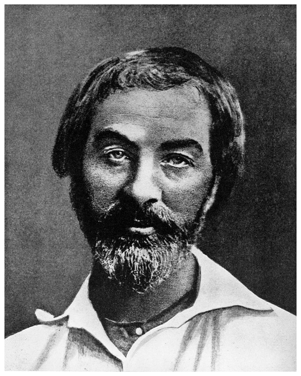 Walt Whitman , americký básník, 19. století 1956 od Unbekannt