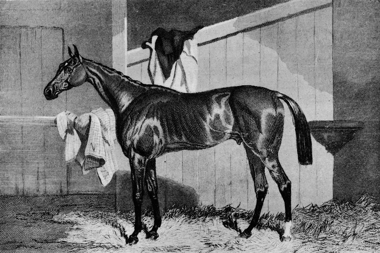 Warlock, 19. století, 1911 od Unbekannt