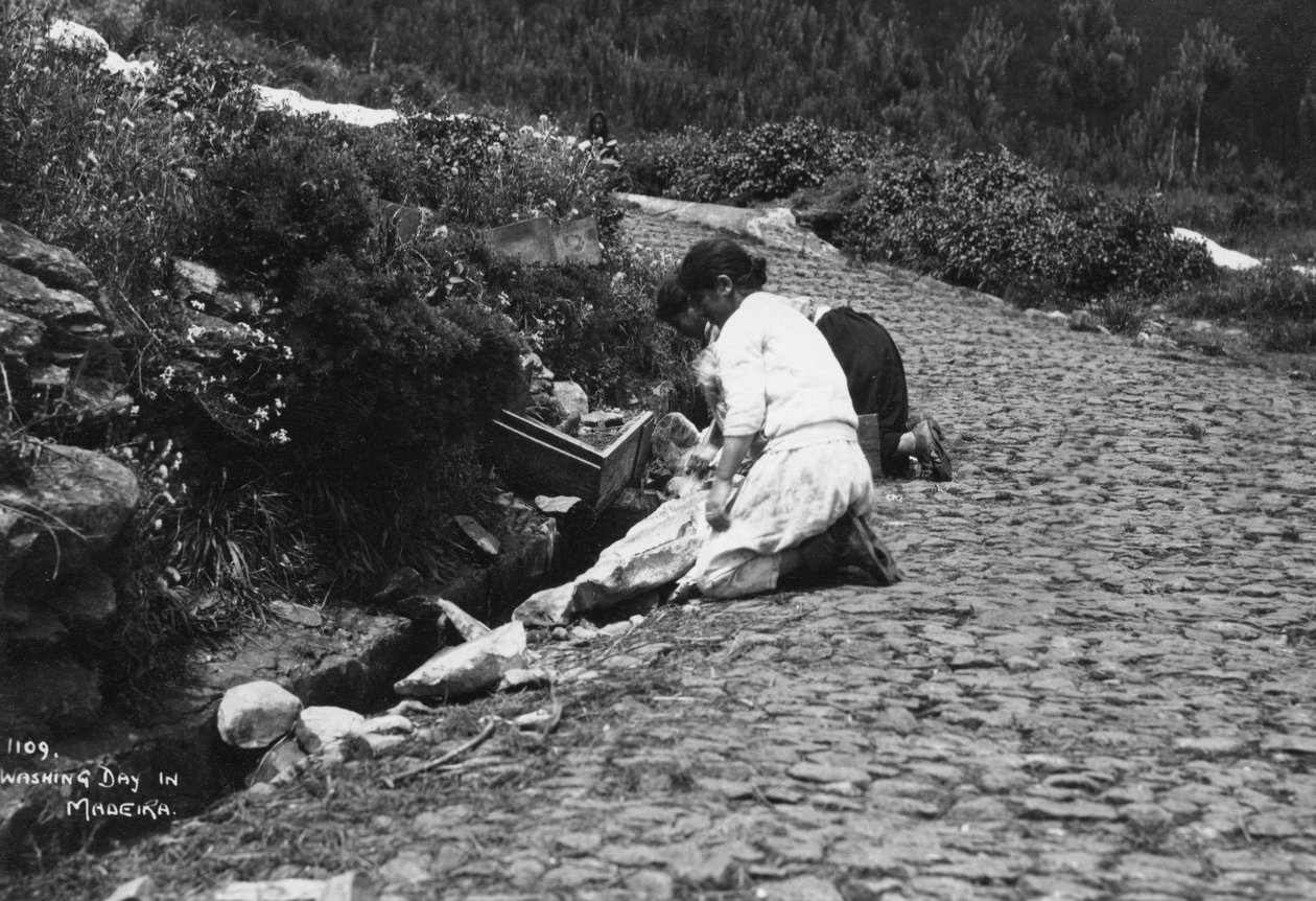 Mycí den na Madeiře v Portugalsku, 20. až 30. léta 20. století od Unbekannt