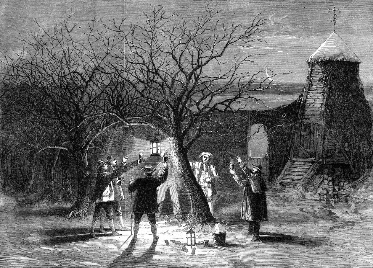Wassailing jabloně s horkým jablečným moštem v Devonshire, dvanáctý večer, 1861 od Unbekannt