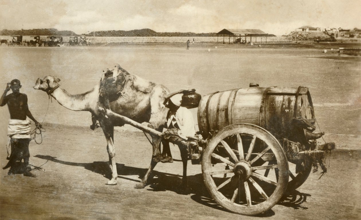 Vodní vozík, Aden, c1918-c1939. od Unbekannt