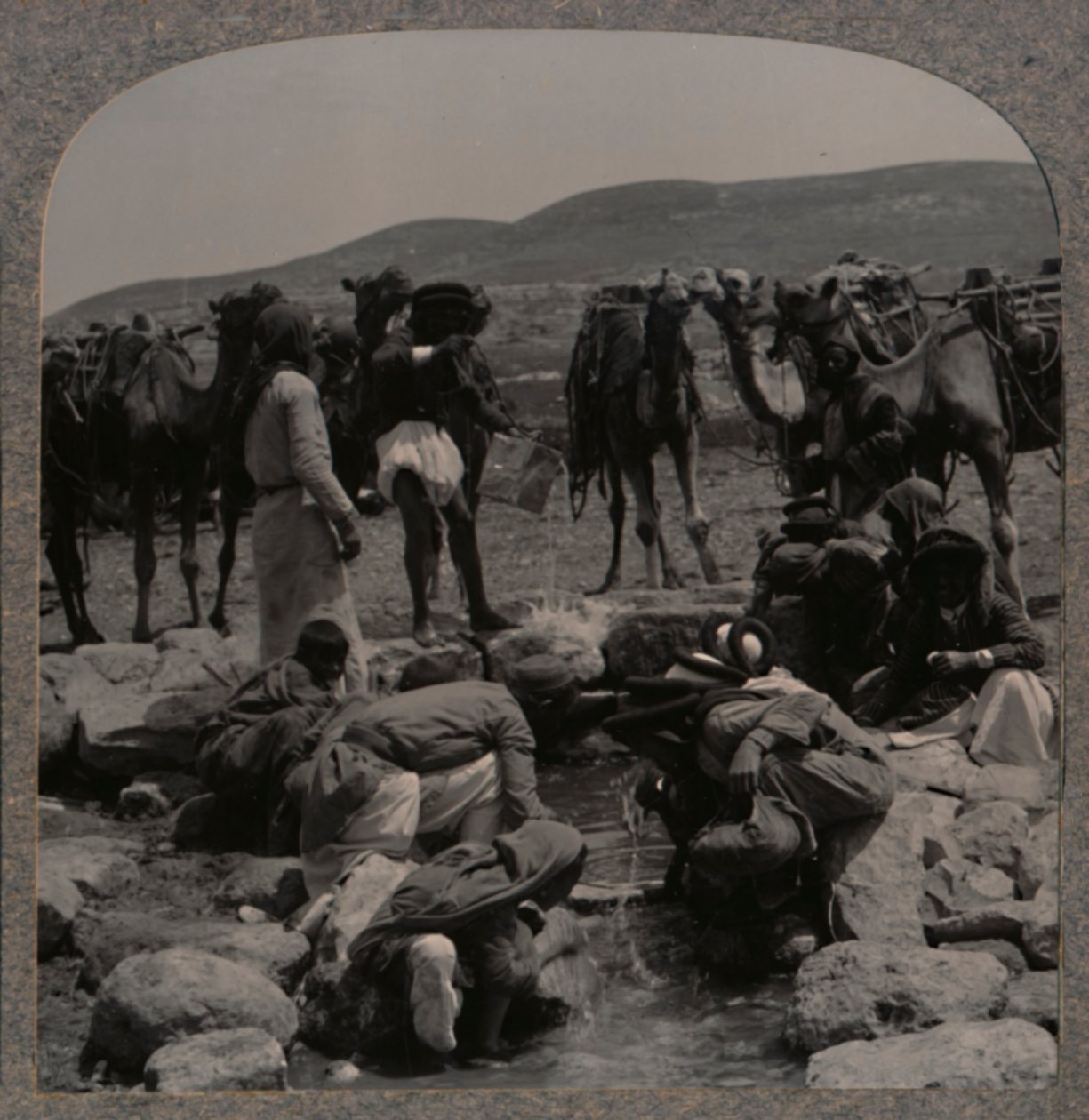Napájení velbloudů v Jacobs Well, c1900 od Unbekannt