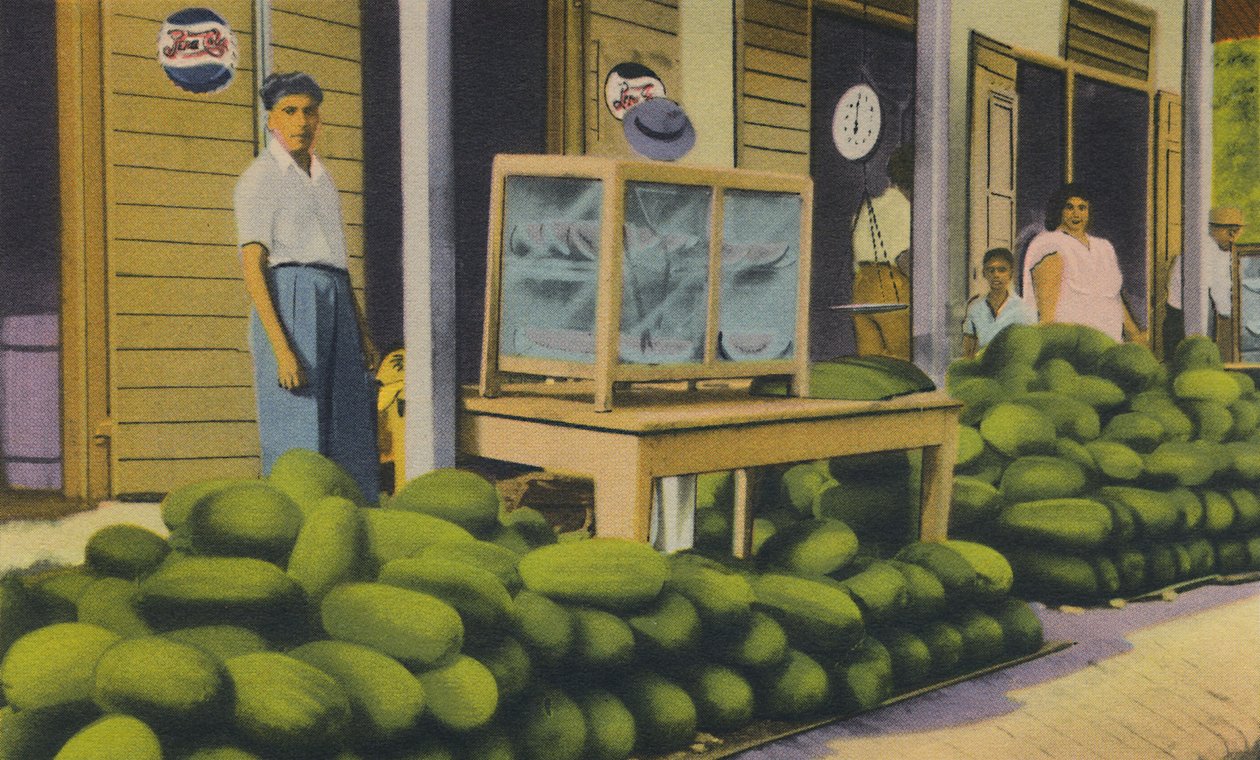 Vodní melouny na prodej, Trinidad, B.W.I., c1940. od Unbekannt