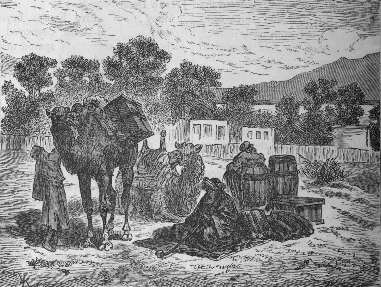 Wells of Moses, poblíž Suezu, c1882 od Unbekannt