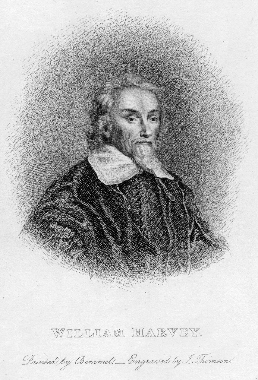 William Harvey 1578-1657 anglický lékař, 17. století od Unbekannt