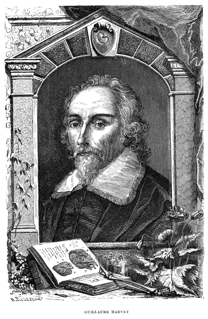 William Harvey 1578-1657 anglický lékař, 17. století od Unbekannt