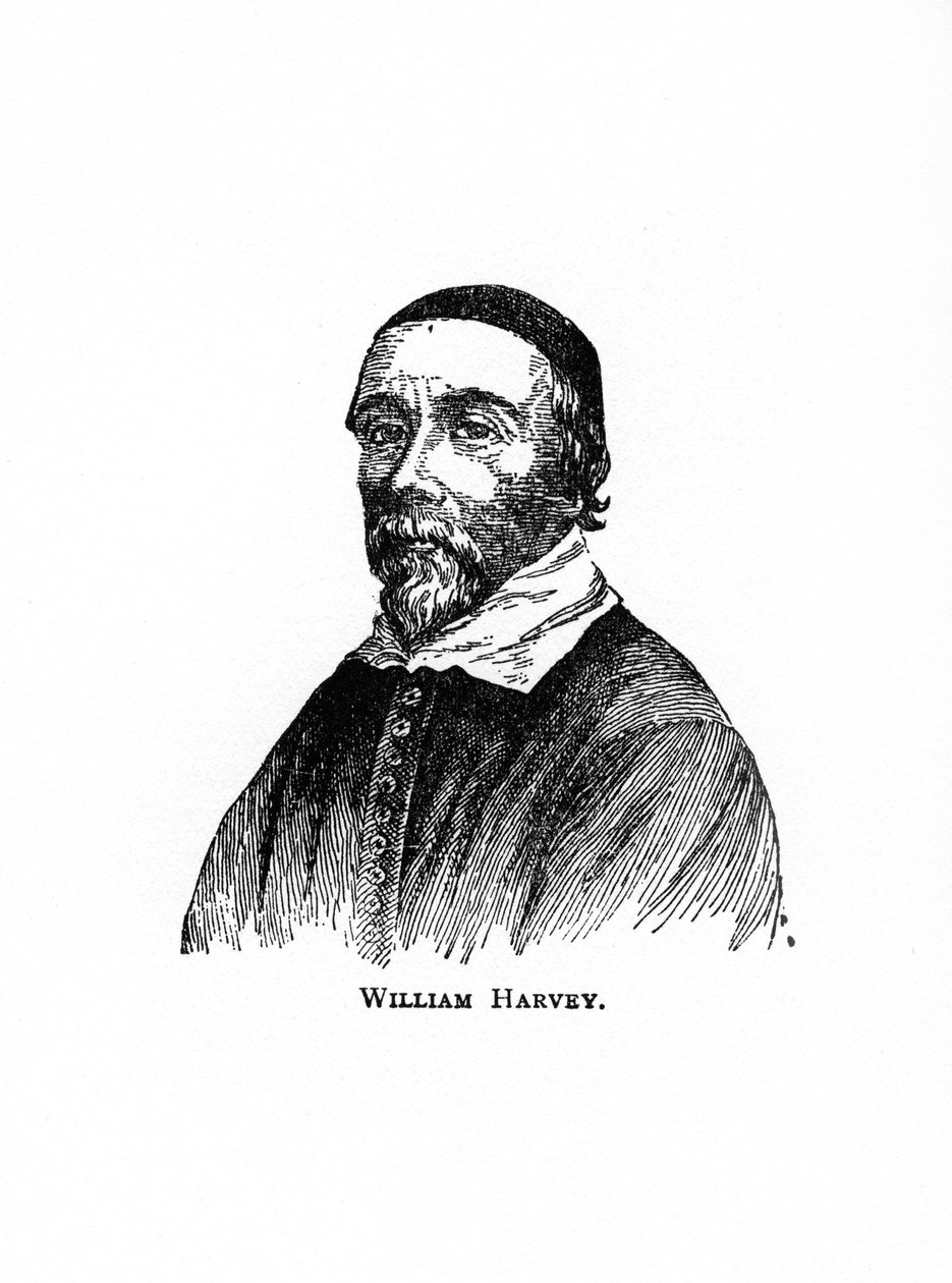 William Harvey, anglický lékař 17. století, 20. století od Unbekannt