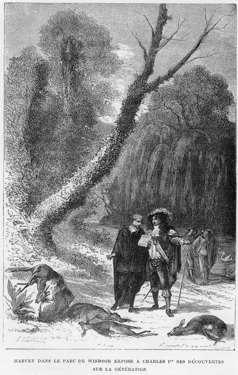 William Harvey, anglický lékař, ve Windsor Park, 17. století 1870 od Unbekannt