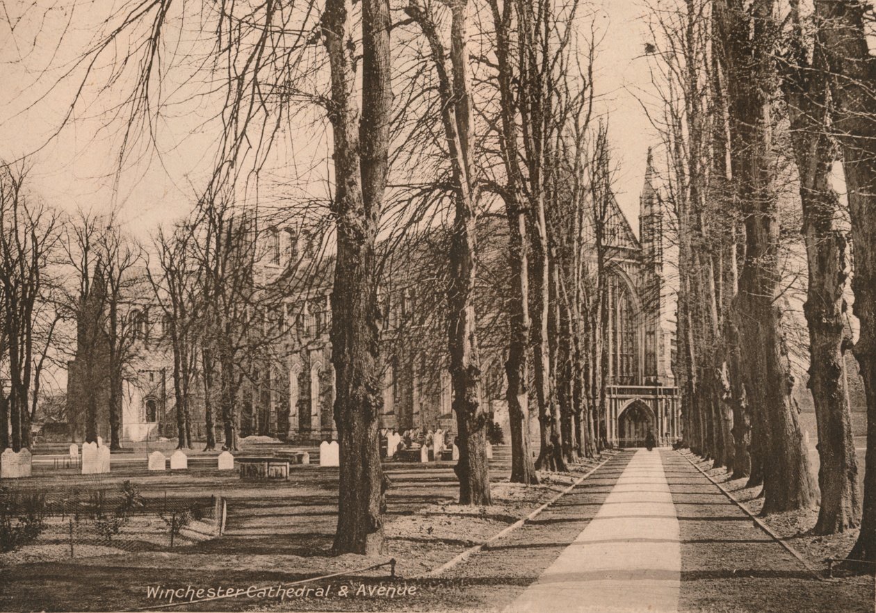 Winchester Cathedral and Avenue, Hampshire, počátek 20. století. od Unbekannt