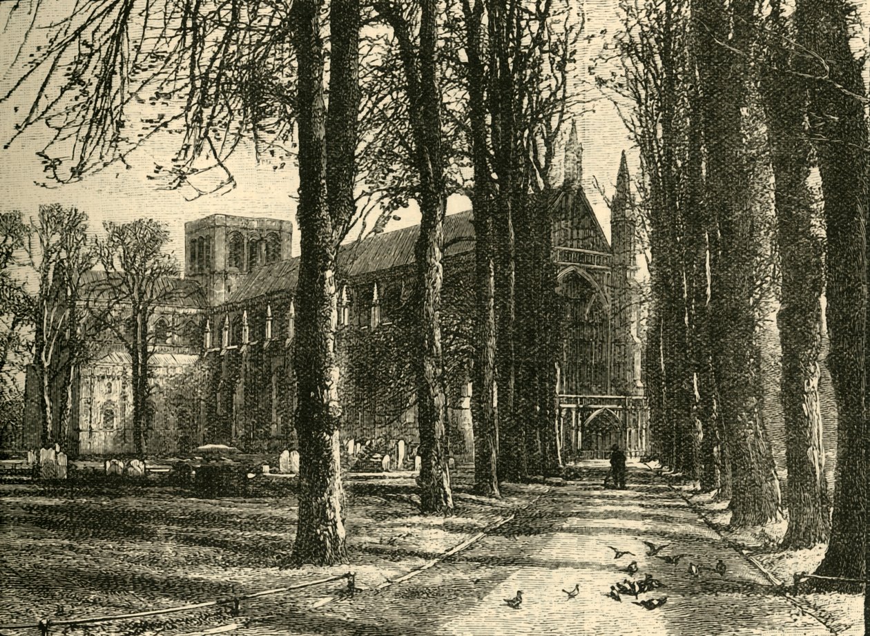Winchesterská katedrála, ze severozápadu, 1898. od Unbekannt