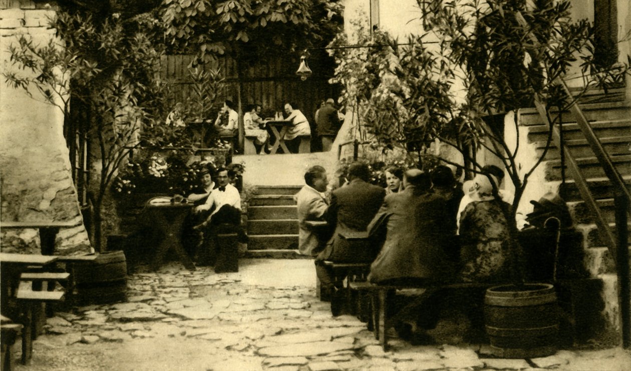 Vinařství v Grinzing, Vídeň, Rakousko, c1935. od Unbekannt