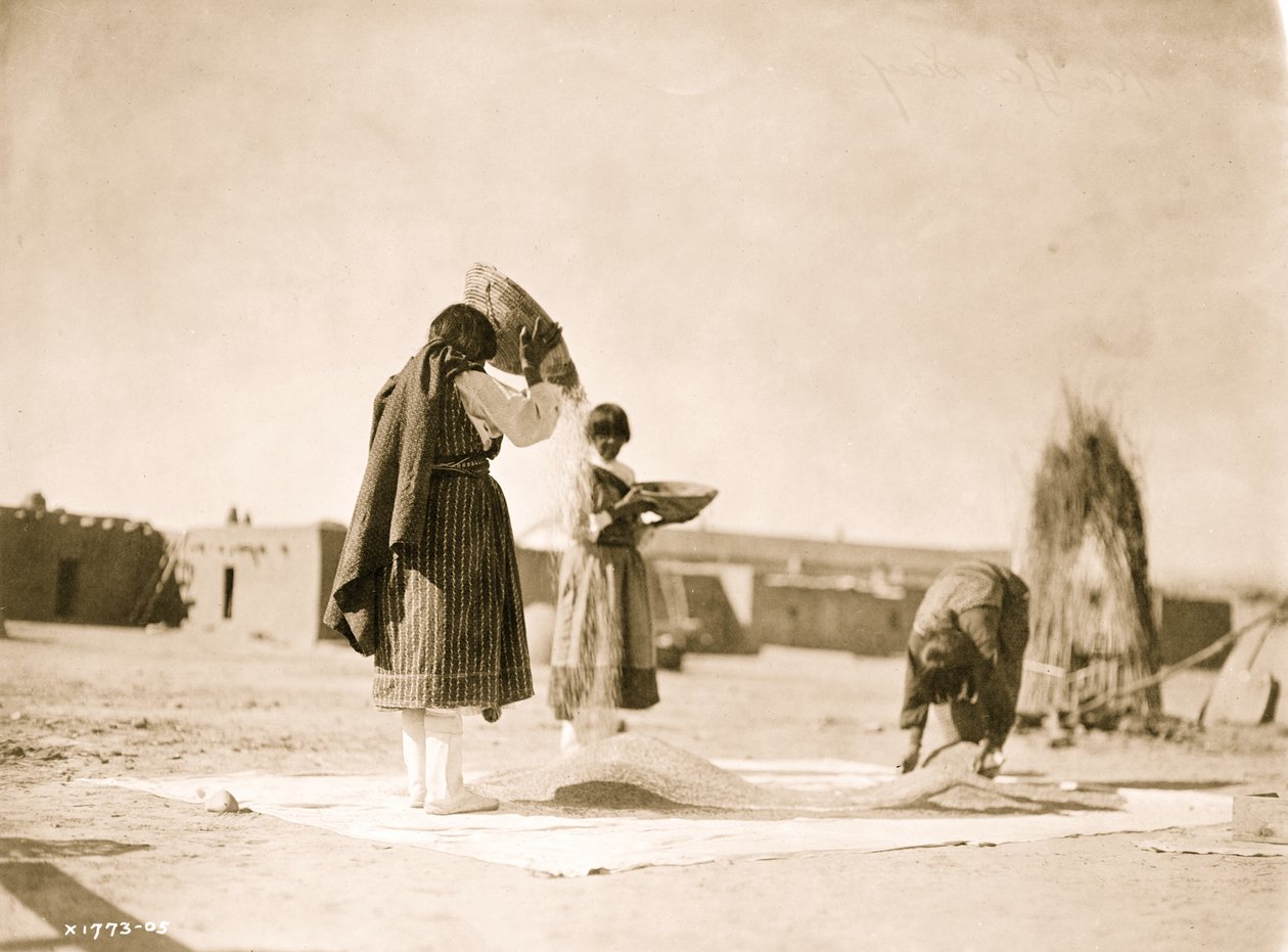 Ožívající pšenici – San Juan 1905 (foto) od Unbekannt