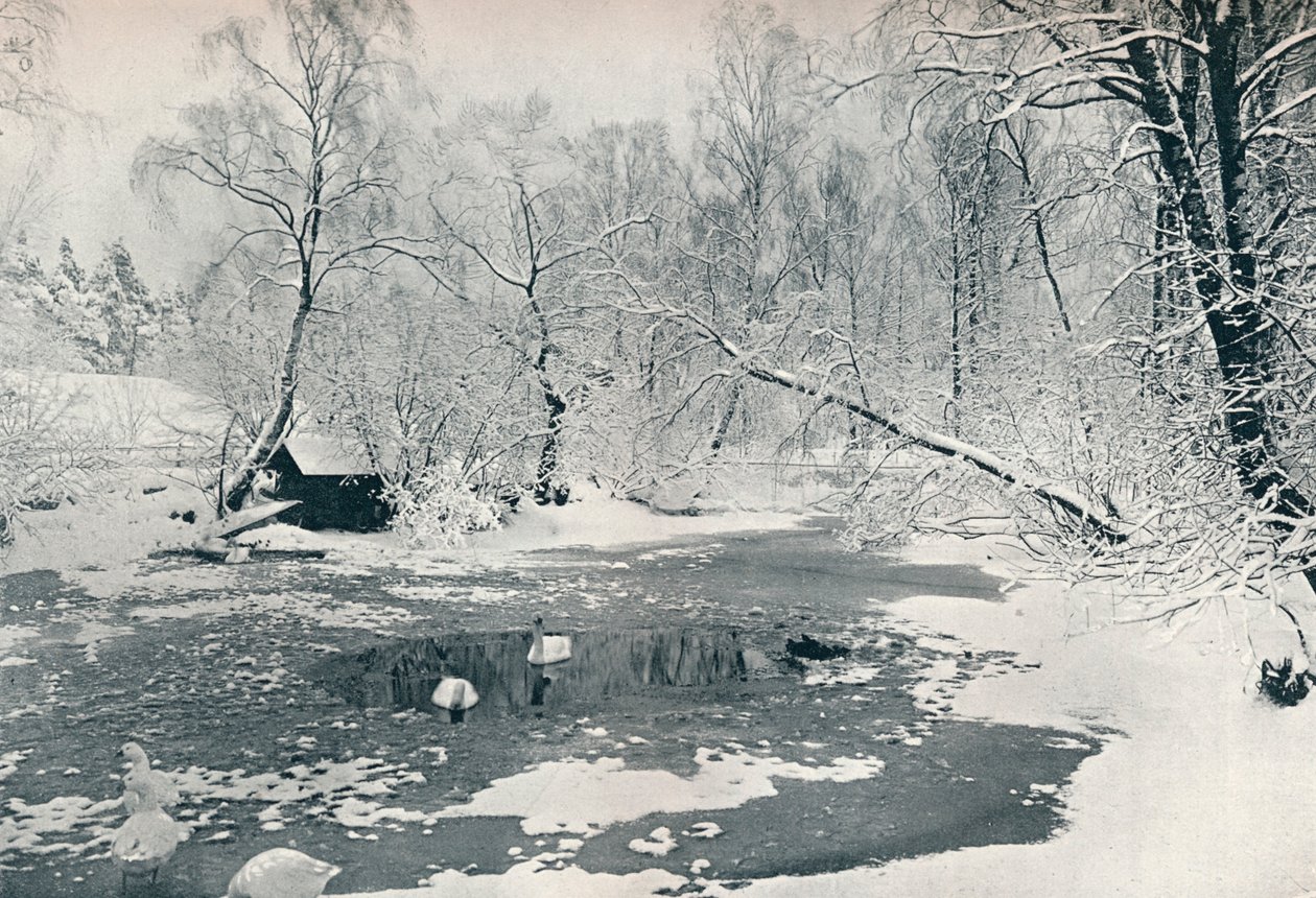 Zimní pohled na skanzen ve Skansenu, c1900 od Unbekannt