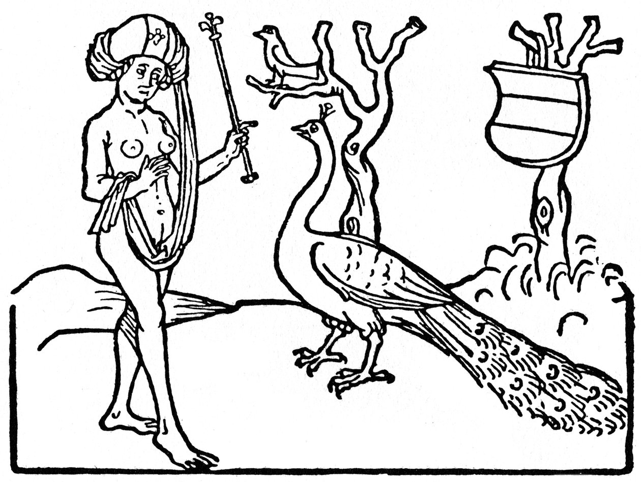 Žena a páv, 1475 1964. od Unbekannt