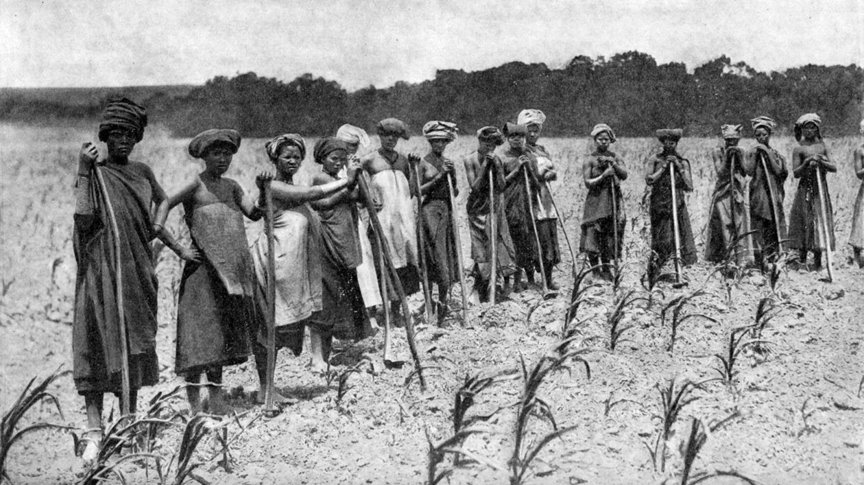 Ženy okopávají pole kukuřice, Jižní Afrika, c1923 od Unbekannt