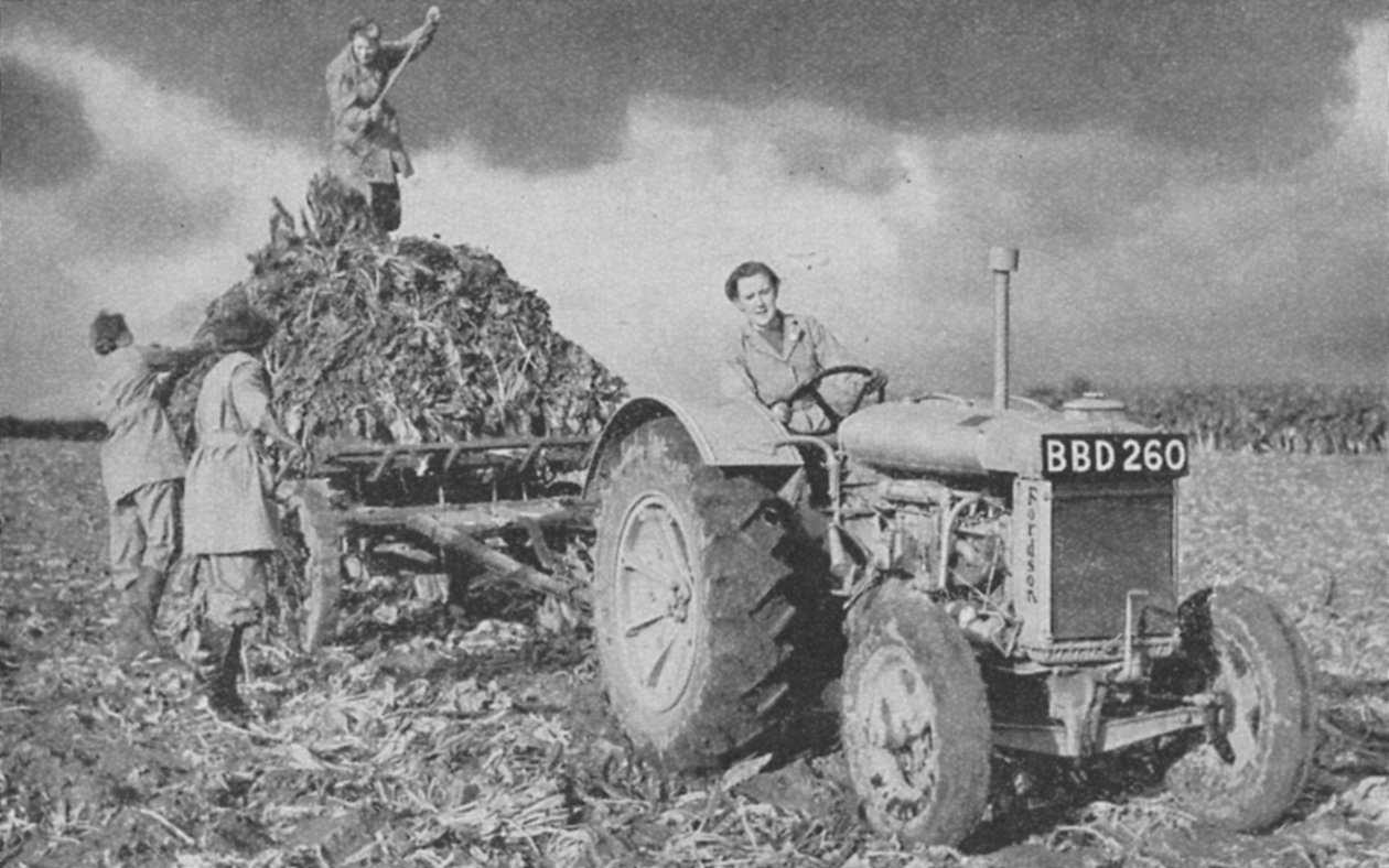 Dámská pozemní armáda zvedá úrodu, druhá světová válka, 1940 od Unbekannt
