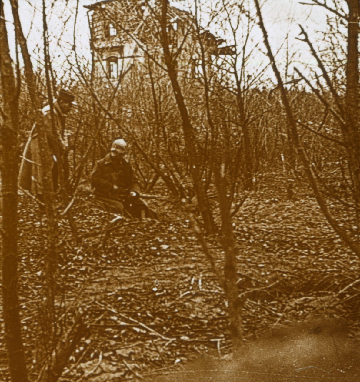 Dřevo, c1914-c1918 od Unbekannt