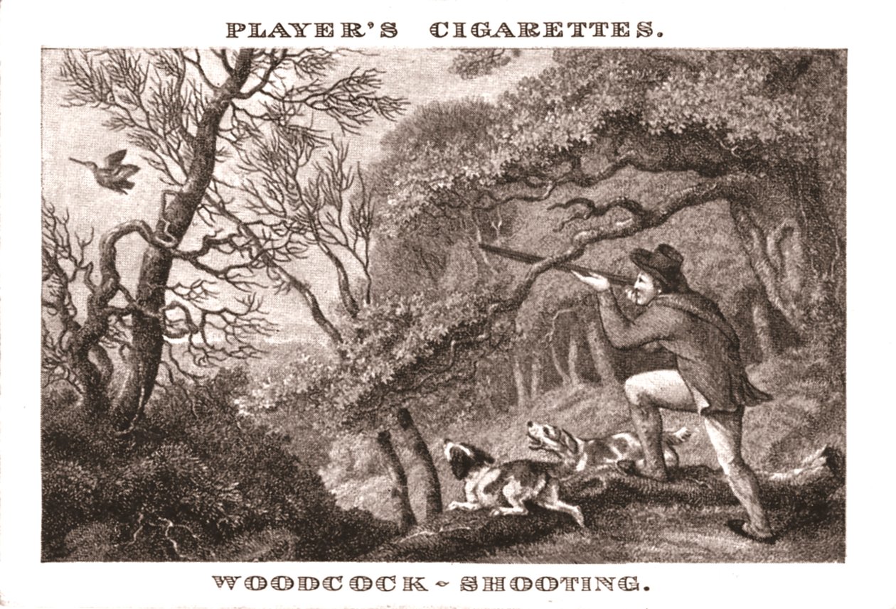 Woodcock-Shooting, 1924. od Unbekannt