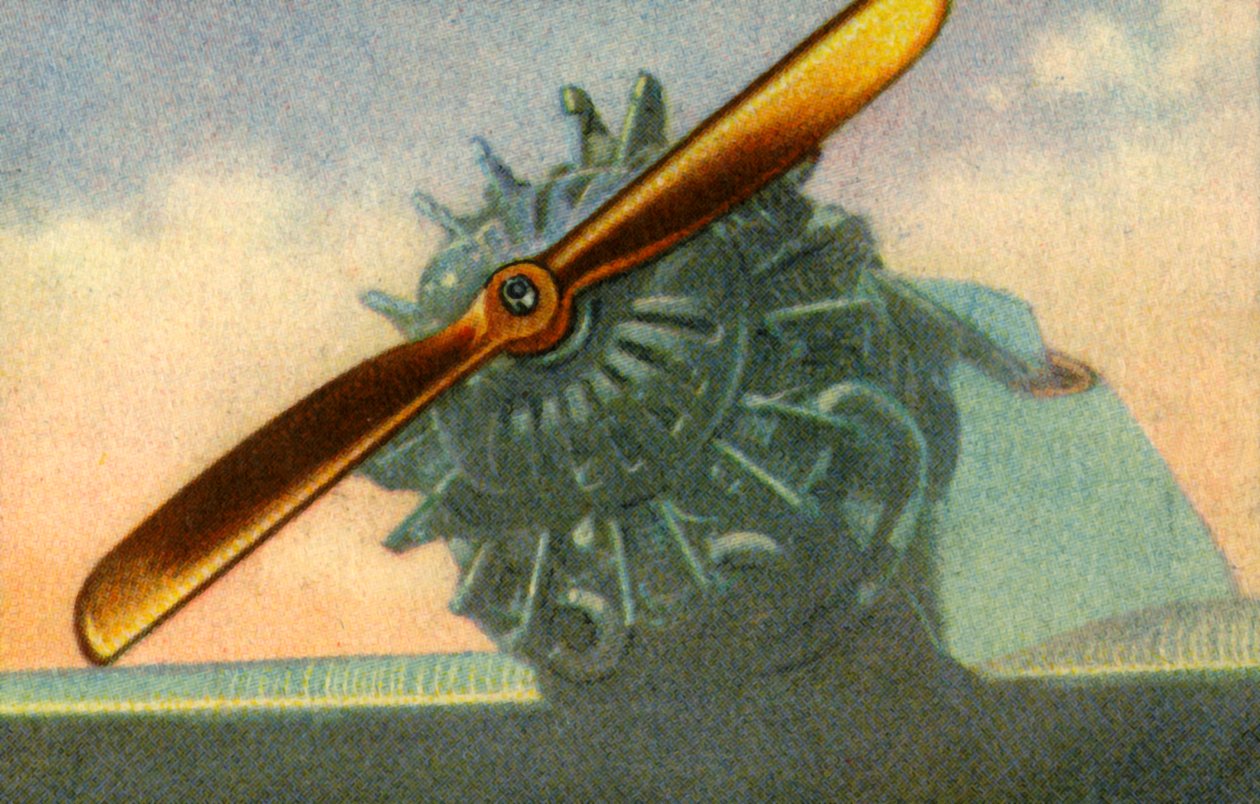 Dřevěná letecká vrtule vyrobená firmou Schwarz Propeller-Werk, 1932. od Unbekannt