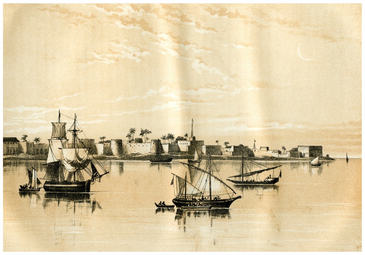 Zanzibar z moře, 1883 od Unbekannt